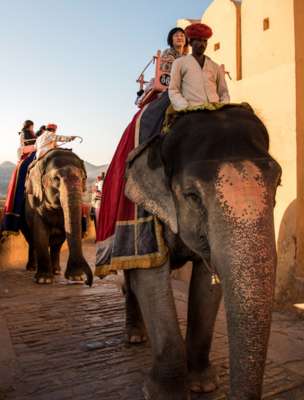 fort & palace rajasthan